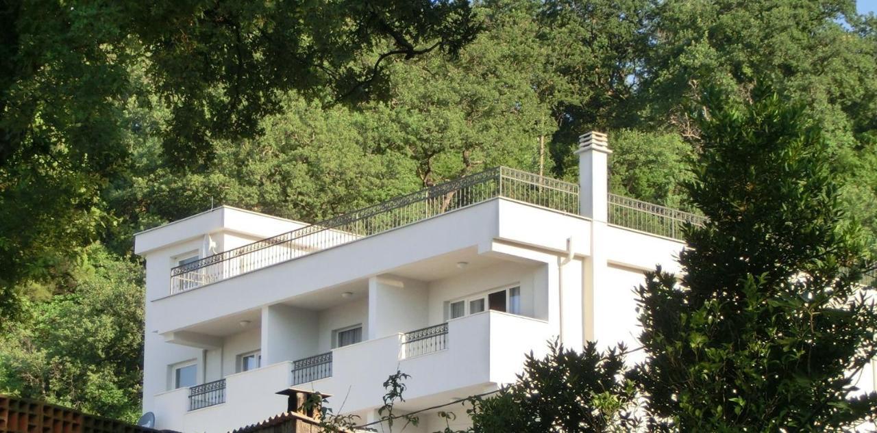 Villa Slovenika Budva Exterior foto